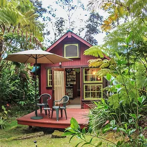 https://ferny-hollow-romantic-rainforest-cottage.hotelsinhawaii.org